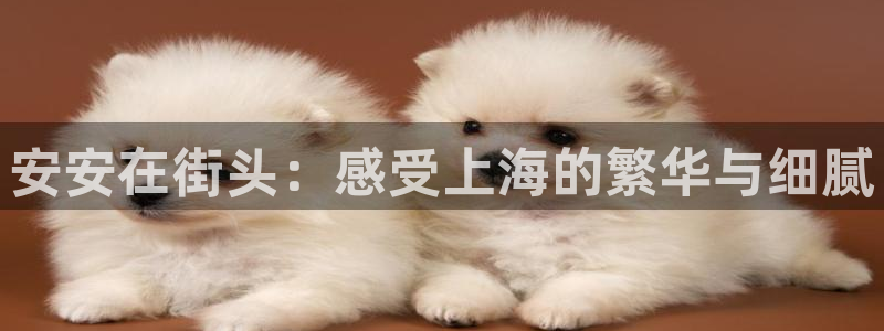 糖心vlgoapp官方：安安在街头：感受上海的繁华与细腻